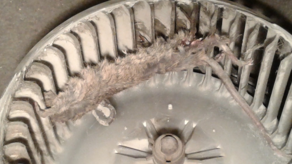 BEWARE OF NOISY BLOWER MOTORS ScannerDanner Forum SCANNERDANNER