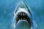 Jawsjaws2000's Avatar