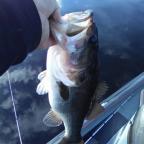 james.chick's Avatar